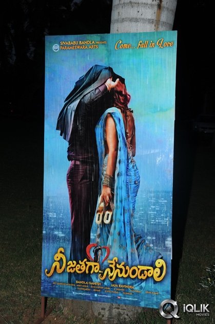 Nee-Jathaga-Nenundali-Movie-Platinum-Disc-Function